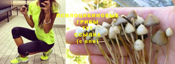 винт Алексин