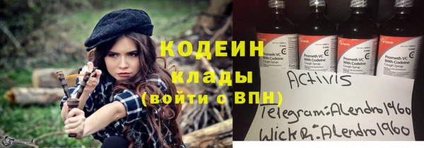 стаф Алзамай