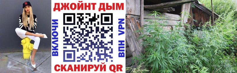 Бошки Шишки MAZAR  Берёзовка 